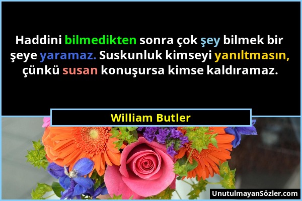 William Butler - Haddini bilmedikten sonra çok şey bilmek bir şeye yaramaz. Suskunluk kimseyi yanıltmasın, çünkü susan konuşursa kimse kaldıramaz....