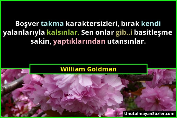 William Goldman - Boşver takma karaktersizleri, bırak kendi yalanlarıyla kalsınlar. Sen onlar gib..i basitleşme sakin, yaptıklarından utansınlar....