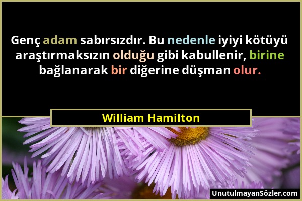 William Hamilton - Genç adam sabırsızdır. Bu nedenle iyiyi kötüyü araştırmaksızın olduğu gibi kabullenir, birine bağlanarak bir diğerine düşman olur....