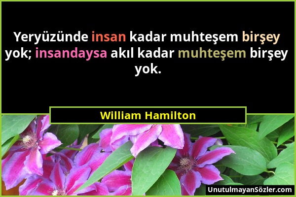 William Hamilton - Yeryüzünde insan kadar muhteşem birşey yok; insandaysa akıl kadar muhteşem birşey yok....