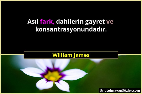 William James - Asıl fark, dahilerin gayret ve konsantrasyonundadır....