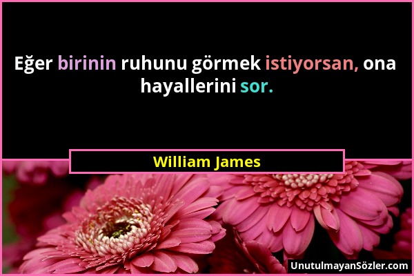 William James - Eğer birinin ruhunu görmek istiyorsan, ona hayallerini sor....