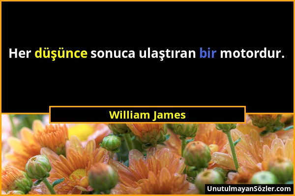 William James - Her düşünce sonuca ulaştıran bir motordur....