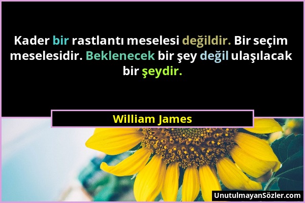 William James - Kader bir rastlantı meselesi değildir. Bir seçim meselesidir. Beklenecek bir şey değil ulaşılacak bir şeydir....