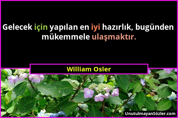 William Osler - Gelecek için yapılan en iyi hazırlık, bugünden mükemmele ulaşmaktır....