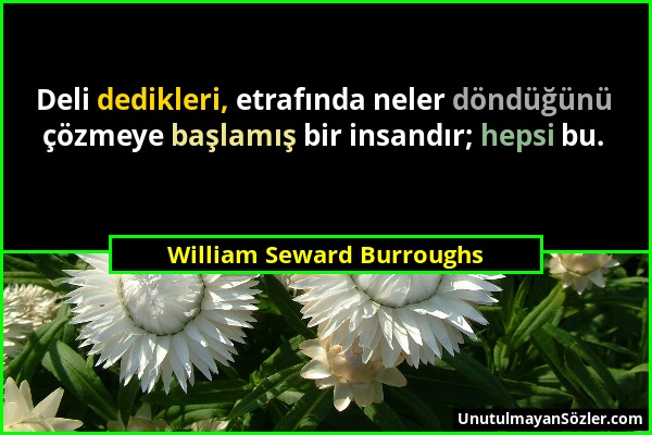 William Seward Burroughs - Deli dedikleri, etrafında neler döndüğünü çözmeye başlamış bir insandır; hepsi bu....