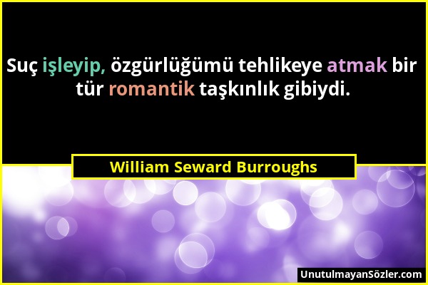 William Seward Burroughs - Suç işleyip, özgürlüğümü tehlikeye atmak bir tür romantik taşkınlık gibiydi....