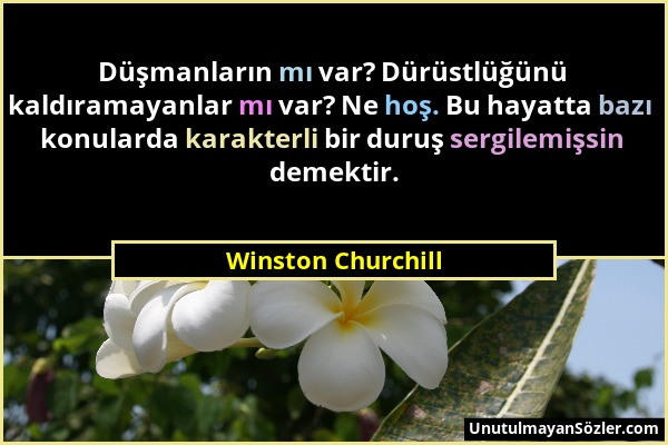 Winston Churchill - Düşmanların mı var? Dürüstlüğünü kaldıramayanlar mı var? Ne hoş. Bu hayatta bazı konularda karakterli bir duruş sergilemişsin deme...