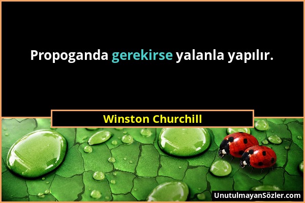 Winston Churchill - Propoganda gerekirse yalanla yapılır....