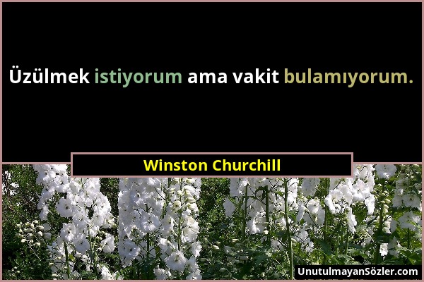 Winston Churchill - Üzülmek istiyorum ama vakit bulamıyorum....