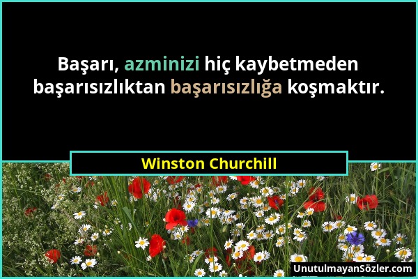 Winston Churchill - Başarı, azminizi hiç kaybetmeden başarısızlıktan başarısızlığa koşmaktır....