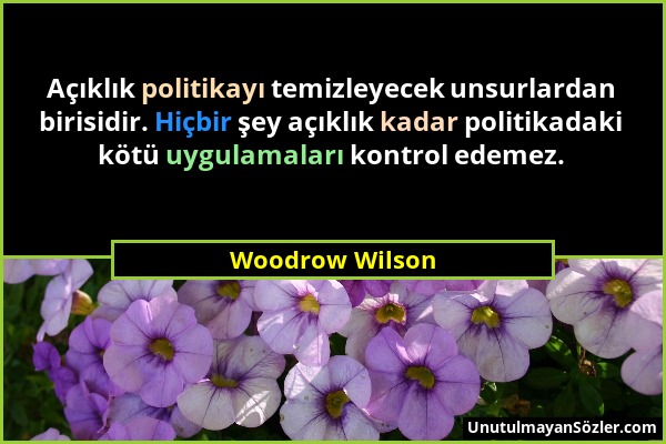 Woodrow Wilson - Açıklık politikayı temizleyecek unsurlardan birisidir. Hiçbir şey açıklık kadar politikadaki kötü uygulamaları kontrol edemez....