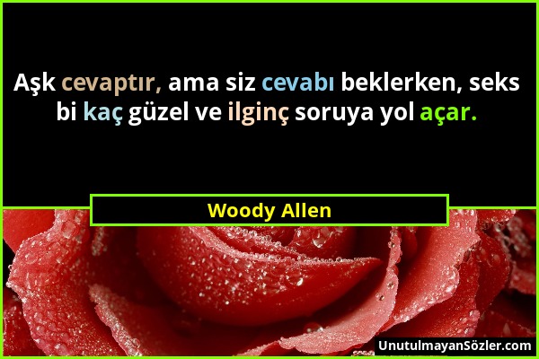 Woody Allen - Aşk cevaptır, ama siz cevabı beklerken, seks bi kaç güzel ve ilginç soruya yol açar....