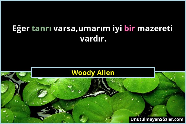 Woody Allen - Eğer tanrı varsa,umarım iyi bir mazereti vardır....
