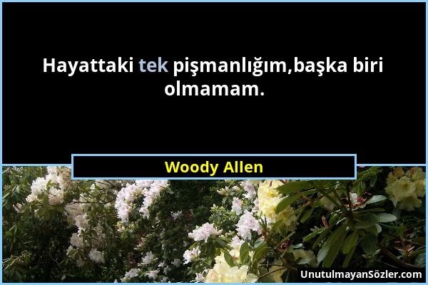 Woody Allen - Hayattaki tek pişmanlığım,başka biri olmamam....