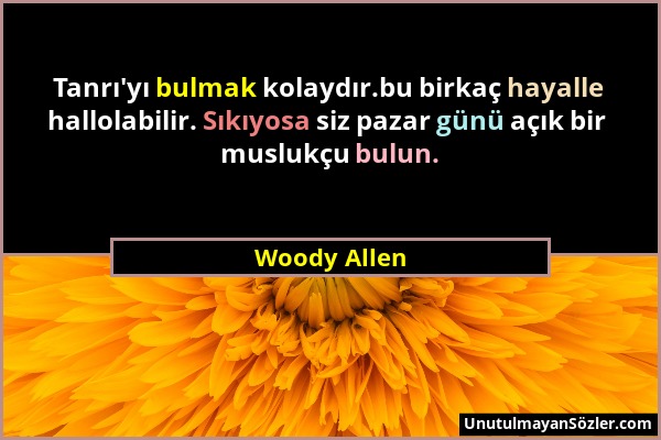 Woody Allen - Tanrı'yı bulmak kolaydır.bu birkaç hayalle hallolabilir. Sıkıyosa siz pazar günü açık bir muslukçu bulun....