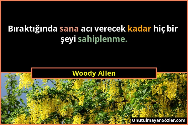 Woody Allen - Bıraktığında sana acı verecek kadar hiç bir şeyi sahiplenme....