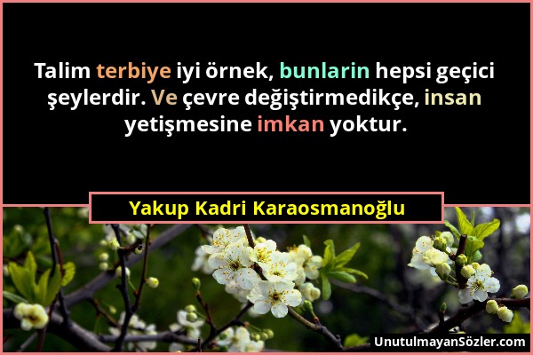 Yakup Kadri Karaosmanoğlu - Talim terbiye iyi örnek, bunlarin hepsi geçici şeylerdir. Ve çevre değiştirmedikçe, insan yetişmesine imkan yoktur....