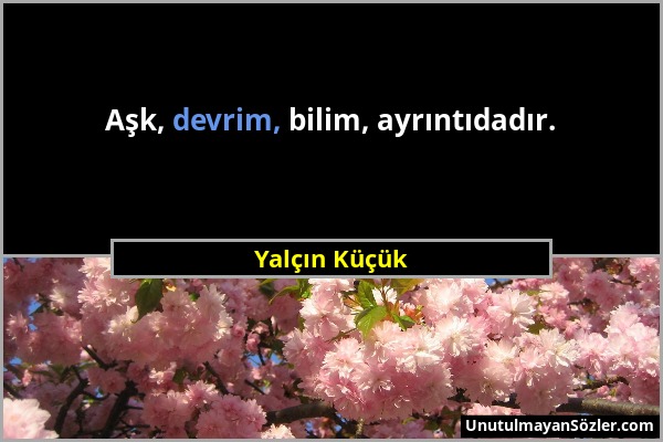 Yalçın Küçük - Aşk, devrim, bilim, ayrıntıdadır....