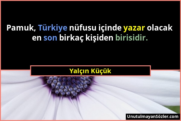 Yalçın Küçük - Pamuk, Türkiye nüfusu içinde yazar olacak en son birkaç kişiden birisidir....