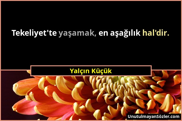 Yalçın Küçük - Tekeliyet'te yaşamak, en aşağılık hal'dir....