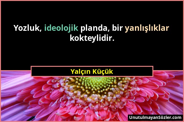 Yalçın Küçük - Yozluk, ideolojik planda, bir yanlışlıklar kokteylidir....