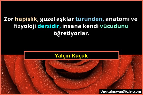 Yalçın Küçük - Zor hapislik, güzel aşklar türünden, anatomi ve fizyoloji dersidir, insana kendi vücudunu öğretiyorlar....