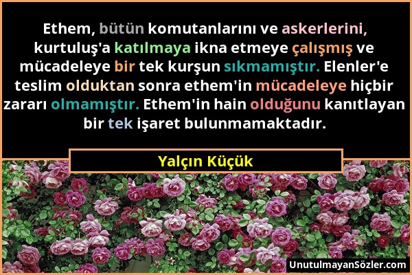 Yalçın Küçük - Ethem, bütün komutanlarını ve askerlerini, kurtuluş'a katılmaya ikna etmeye çalışmış ve mücadeleye bir tek kurşun sıkmamıştır. Elenler'...