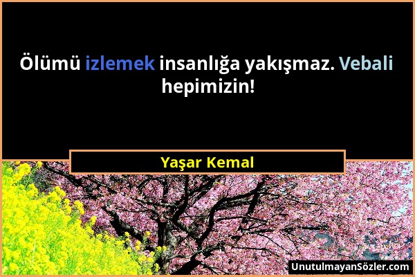 Yaşar Kemal - Ölümü izlemek insanlığa yakışmaz. Vebali hepimizin!...