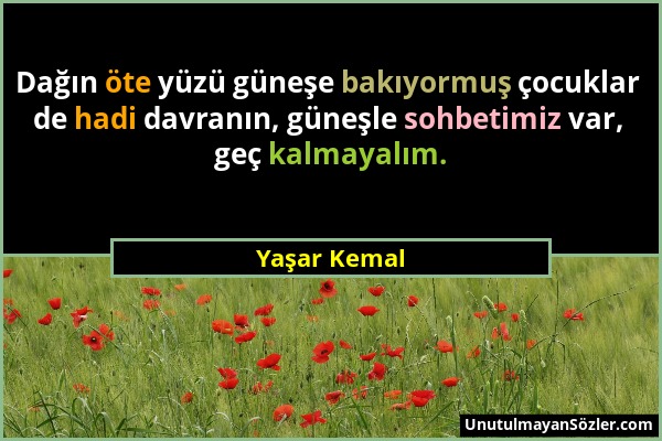 Yaşar Kemal - Dağın öte yüzü güneşe bakıyormuş çocuklar de hadi davranın, güneşle sohbetimiz var, geç kalmayalım....