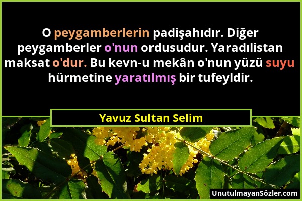 Yavuz Sultan Selim - O peygamberlerin padişahıdır. Diğer peygamberler o'nun ordusudur. Yaradılistan maksat o'dur. Bu kevn-u mekân o'nun yüzü suyu hürm...