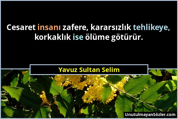 Yavuz Sultan Selim - Cesaret insanı zafere, kararsızlık tehlikeye, korkaklık ise ölüme götürür....