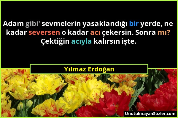 Yılmaz Erdoğan - Adam gibi' sevmelerin yasaklandığı bir yerde, ne kadar seversen o kadar acı çekersin. Sonra mı? Çektiğin acıyla kalırsın işte....