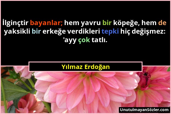 Yılmaz Erdoğan - İlginçtir bayanlar; hem yavru bir köpeğe, hem de yaksikli bir erkeğe verdikleri tepki hiç değişmez: 'ayy çok tatlı....