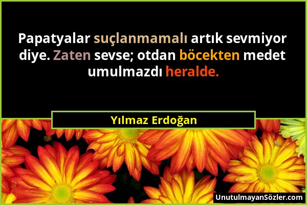 Yılmaz Erdoğan - Papatyalar suçlanmamalı artık sevmiyor diye. Zaten sevse; otdan böcekten medet umulmazdı heralde....