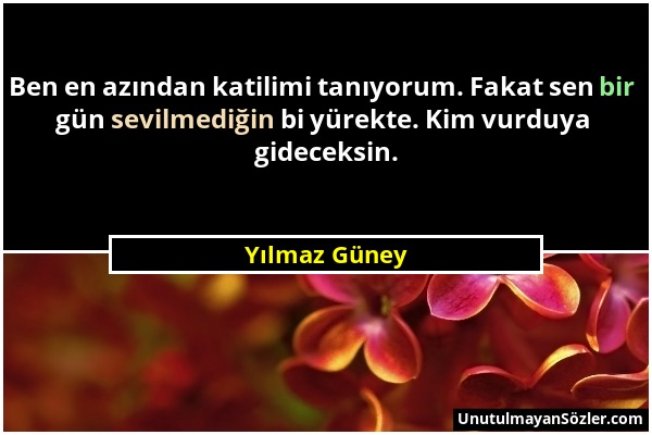 Yılmaz Güney - Ben en azından katilimi tanıyorum. Fakat sen bir gün sevilmediğin bi yürekte. Kim vurduya gideceksin....