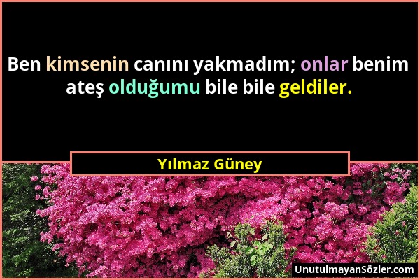 Yılmaz Güney - Ben kimsenin canını yakmadım; onlar benim ateş olduğumu bile bile geldiler....