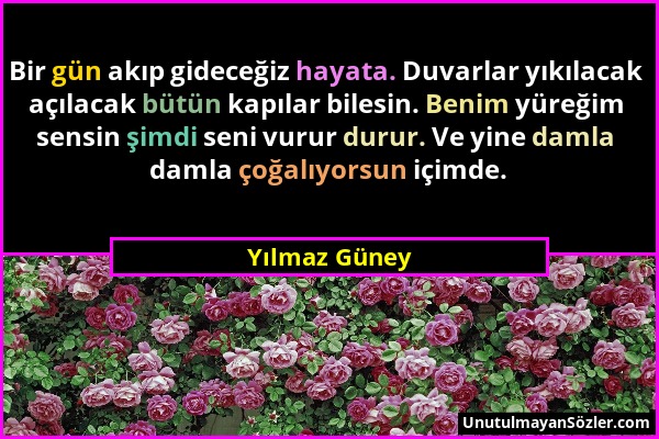 Yılmaz Güney - Bir gün akıp gideceğiz hayata. Duvarlar yıkılacak açılacak bütün kapılar bilesin. Benim yüreğim sensin şimdi seni vurur durur. Ve yine...