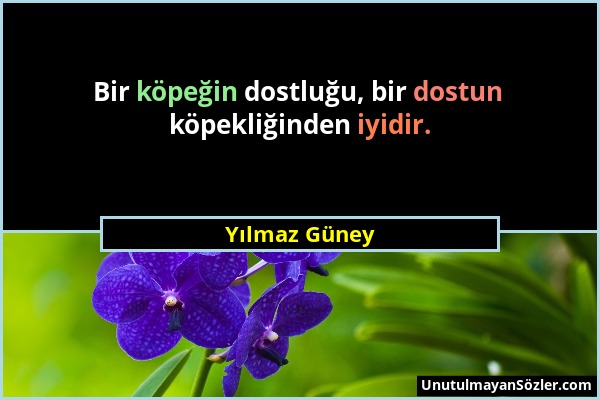 Yılmaz Güney - Bir köpeğin dostluğu, bir dostun köpekliğinden iyidir....