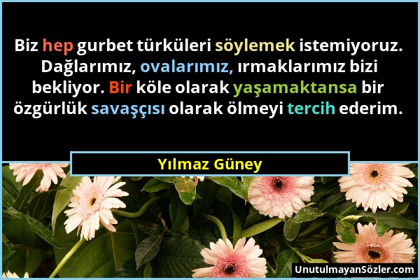 Yılmaz Güney - Biz hep gurbet türküleri söylemek istemiyoruz. Dağlarımız, ovalarımız, ırmaklarımız bizi bekliyor. Bir köle olarak yaşamaktansa bir özg...