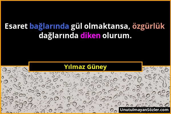 Yılmaz Güney - Esaret bağlarında gül olmaktansa, özgürlük dağlarında diken olurum....