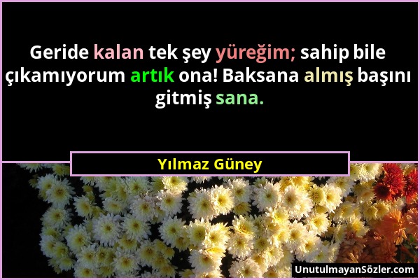 Yılmaz Güney - Geride kalan tek şey yüreğim; sahip bile çıkamıyorum artık ona! Baksana almış başını gitmiş sana....