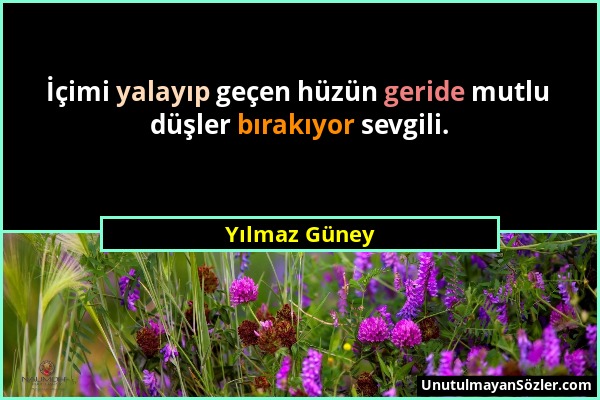 Yılmaz Güney - İçimi yalayıp geçen hüzün geride mutlu düşler bırakıyor sevgili....