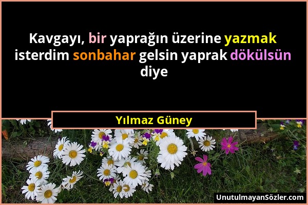 Yılmaz Güney - Kavgayı, bir yaprağın üzerine yazmak isterdim sonbahar gelsin yaprak dökülsün diye...