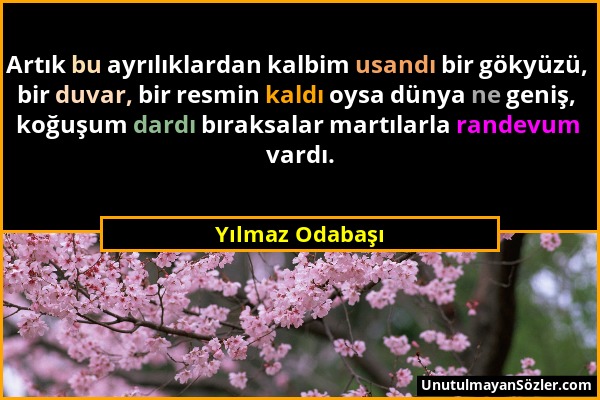 Yılmaz Odabaşı - Artık bu ayrılıklardan kalbim usandı bir gökyüzü, bir duvar, bir resmin kaldı oysa dünya ne geniş, koğuşum dardı bıraksalar martılarl...