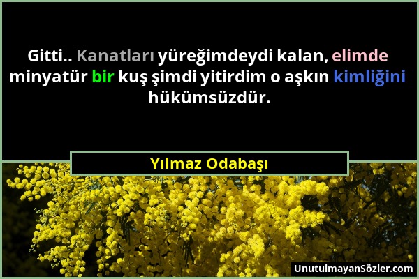 Yılmaz Odabaşı - Gitti.. Kanatları yüreğimdeydi kalan, elimde minyatür bir kuş şimdi yitirdim o aşkın kimliğini hükümsüzdür....