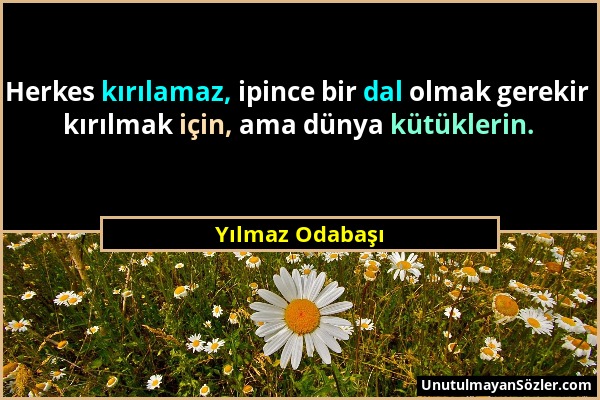 Yılmaz Odabaşı - Herkes kırılamaz, ipince bir dal olmak gerekir kırılmak için, ama dünya kütüklerin....