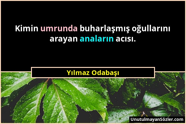 Yılmaz Odabaşı - Kimin umrunda buharlaşmış oğullarını arayan anaların acısı....