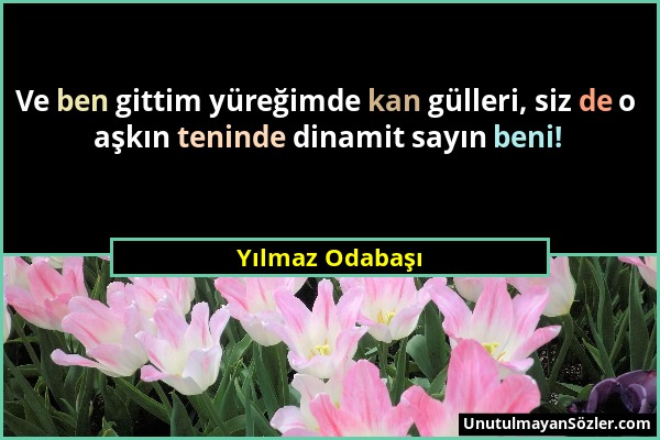 Yılmaz Odabaşı - Ve ben gittim yüreğimde kan gülleri, siz de o aşkın teninde dinamit sayın beni!...