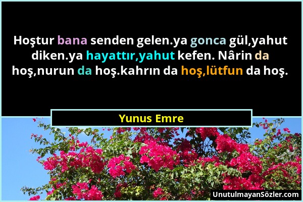 Yunus Emre - Hoştur bana senden gelen.ya gonca gül,yahut diken.ya hayattır,yahut kefen. Nârin da hoş,nurun da hoş.kahrın da hoş,lütfun da hoş....